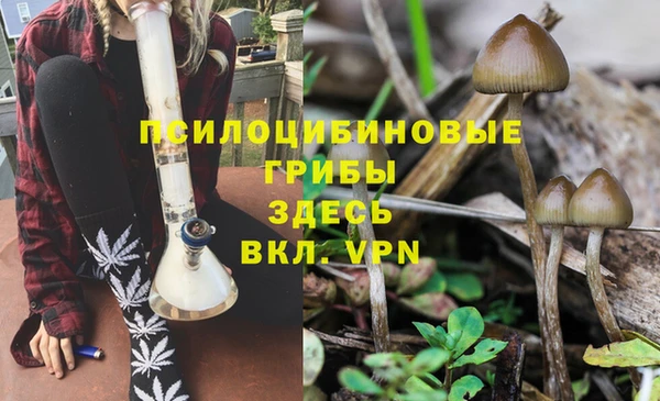 а пвп мука Алексеевка