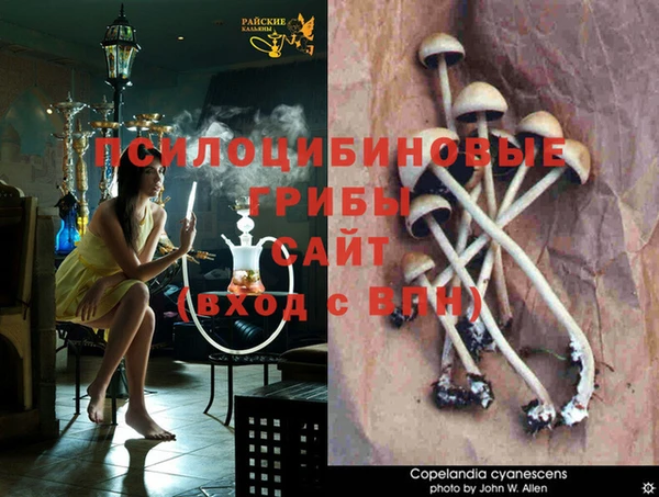 метадон Алзамай