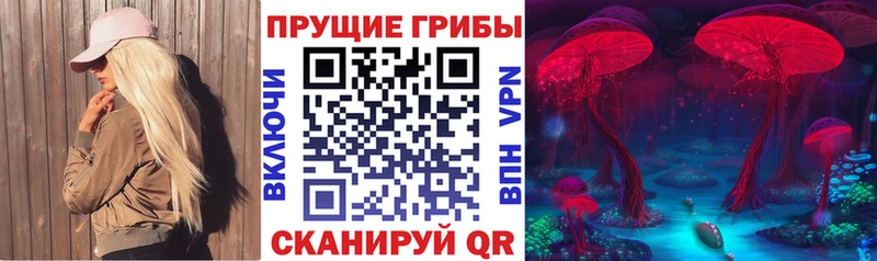 Галлюциногенные грибы ЛСД Макушино