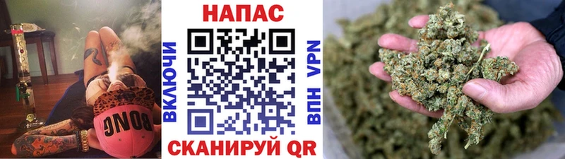 Каннабис OG Kush Макушино